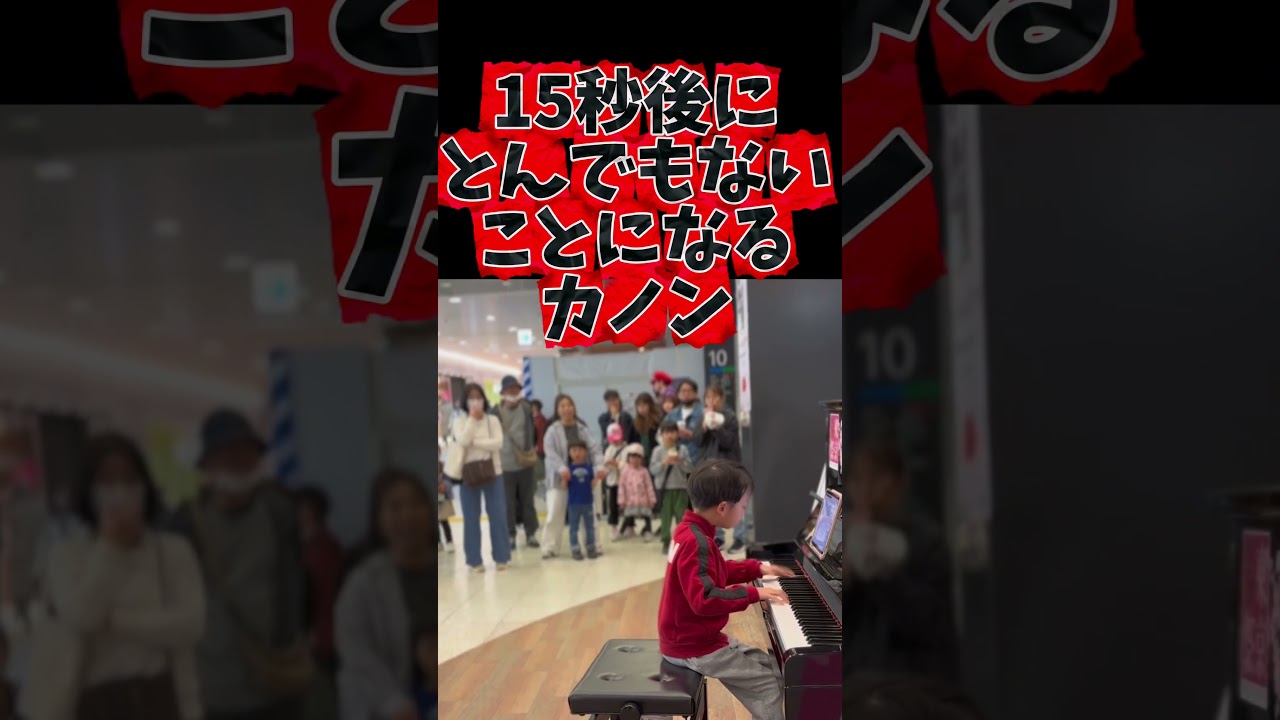 （100万回再生！）15秒後にとんでもないことになったカノン