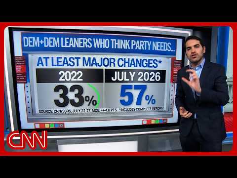 Why Michigan's primary shapes the Democratic Party's future