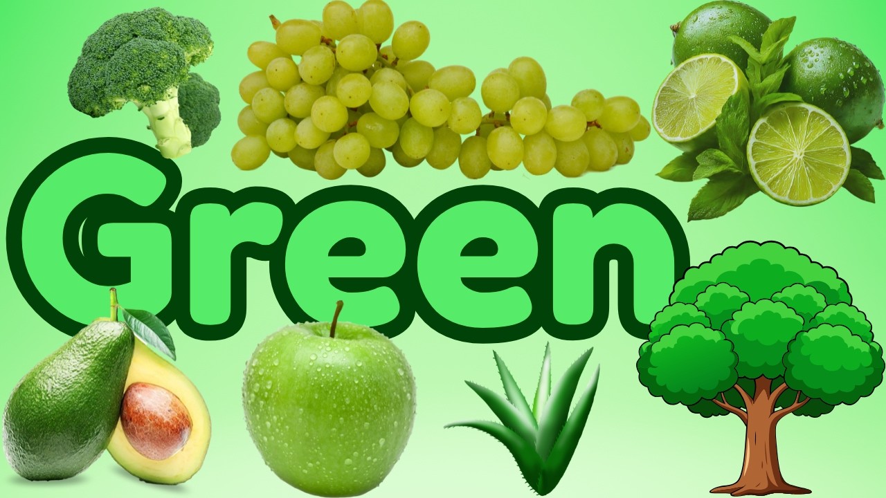 Learning Colors : The Green Objects Video!