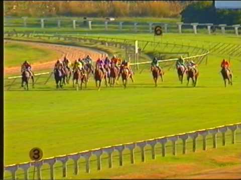 Winters Night (SAF)  - Champion 3 Year Old of Zimbabwe 2010 - Spar Tankard