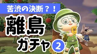 こんなことある？！まさかの神展開！｜pm5:00～｜あつ森雑談ラジオ【睡眠・作業用】