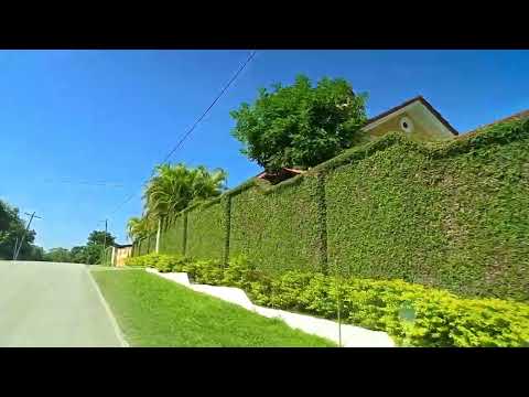 CHINCHILLA AL CRUCE DE SAN LUIS PETEN