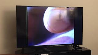 Sesame Street - Look a little closer (Hand, take 2)