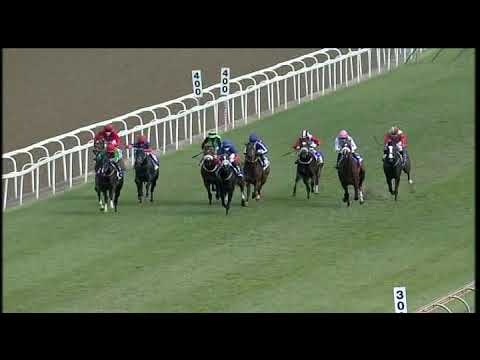 20200829 Hollywoodbets Greyville express clip Race 3 won by ECSTATIC GREEN