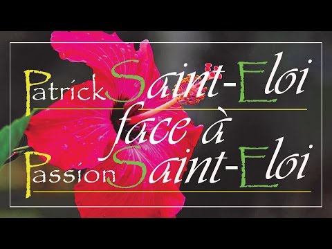 Patrick ST-ÉLOI face à Passion ST-ÉLOI - (c.c.) -