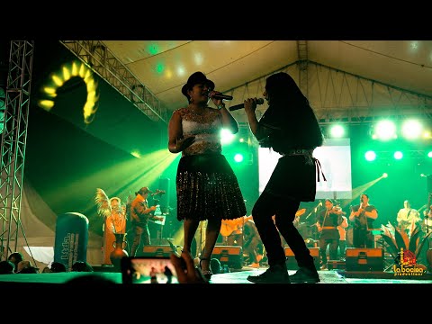 Tayta Apuk - Kuyay Chinkashka [LIVE] (Ft. Jhosy La Estrellita del Sur, Geovanny Zaruma)