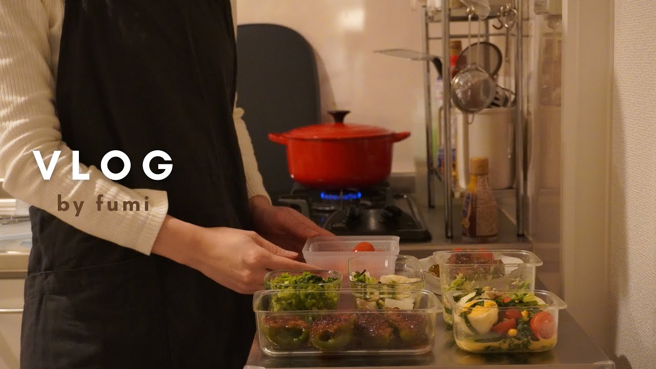 ［vlog］やりたいことをしてリフレッシュする休日☕️📚本のまとめ買い/仕事終わりの時間