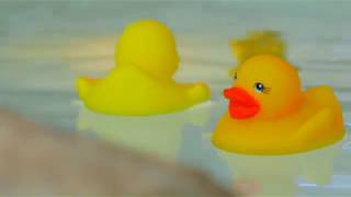 Childrens Waterworld - Grand Opening