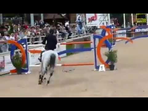 Hubert Bourdy and Centino du Ry