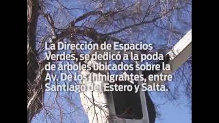 BACHEO,PODA Y LIMPIEZA