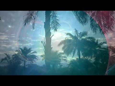 Logical Drift - Judean Desert (music video)