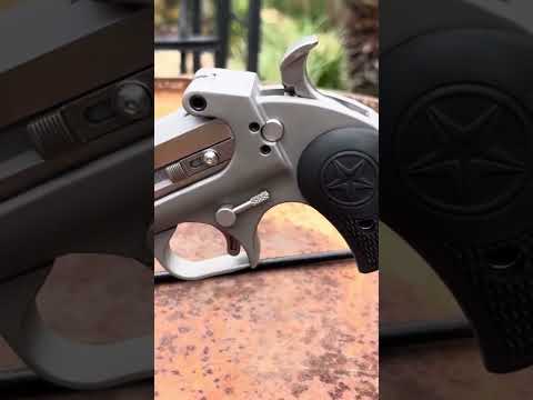Magnum Research Desert Eagle Mark XIX 357 Magnum First Shots