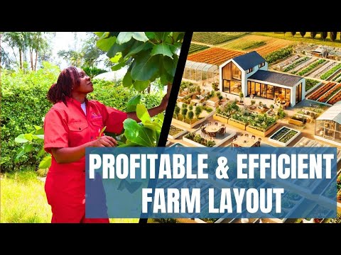 How to Design a Profitable Farm Layout 🌱💰|  Smart Tips for Efficient Farming 🚜