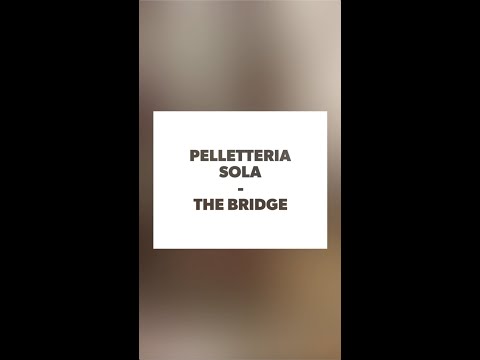 COLLEZIONE AI20 THE BRIDGE - PELLETTERIA SOLA