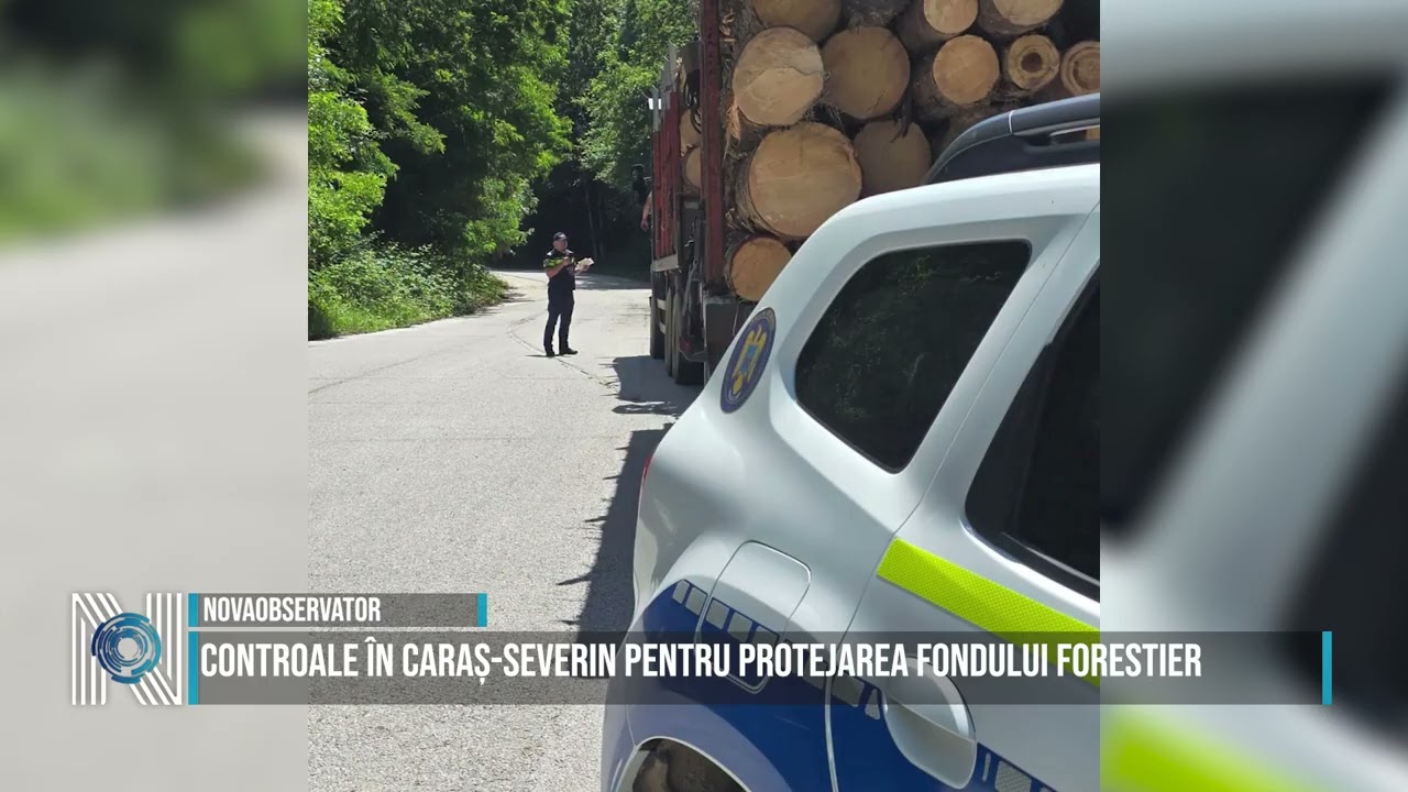Controale în Caraș-Severin pentru protejarea fondului forestier
