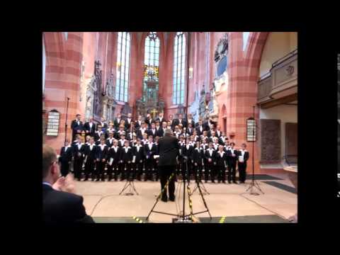 Dresdner Kreuzchor "Unser Leben ist ein Schatten" Johann Bach (Stiftskirche Wertheim 20.07.2014)
