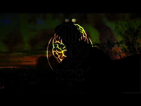 IZW - ΔΗΛΩΣΕΙΣ