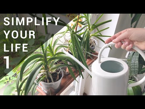 My Simplified Orchid & Houseplant Watering Routine Pt. 1 - Super Quick & Easy - Come Water With Me