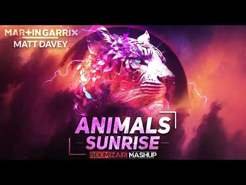 Martin Garrix vs Matt Davey, Kate Dowman - Animals Sunrise (Bekim Izairi Mashup)