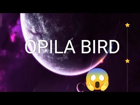 Opila bird song garten of banban by mors🌞