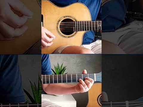 A truly outstanding acoustic guitar, Dowina Master Series Cocobolo GAC #guitar #acousticguitar