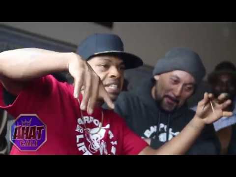 Shidog vs Michael Punchline