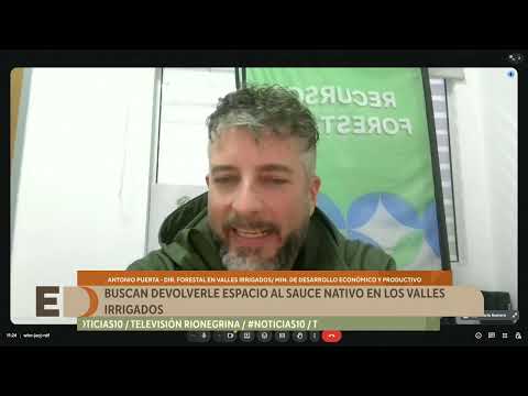 Río Negro fortalece la recuperación de una especie clave de sus riberas