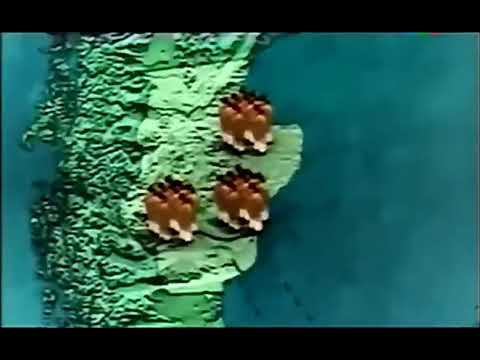 El trágico final de La Patagonia Rebelde