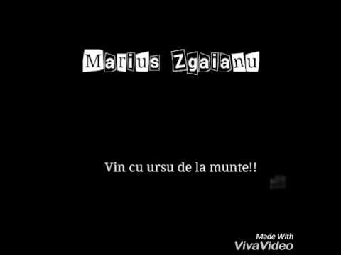 Marius Zgaianu-Vin cu ursu de la munte(Original audio)