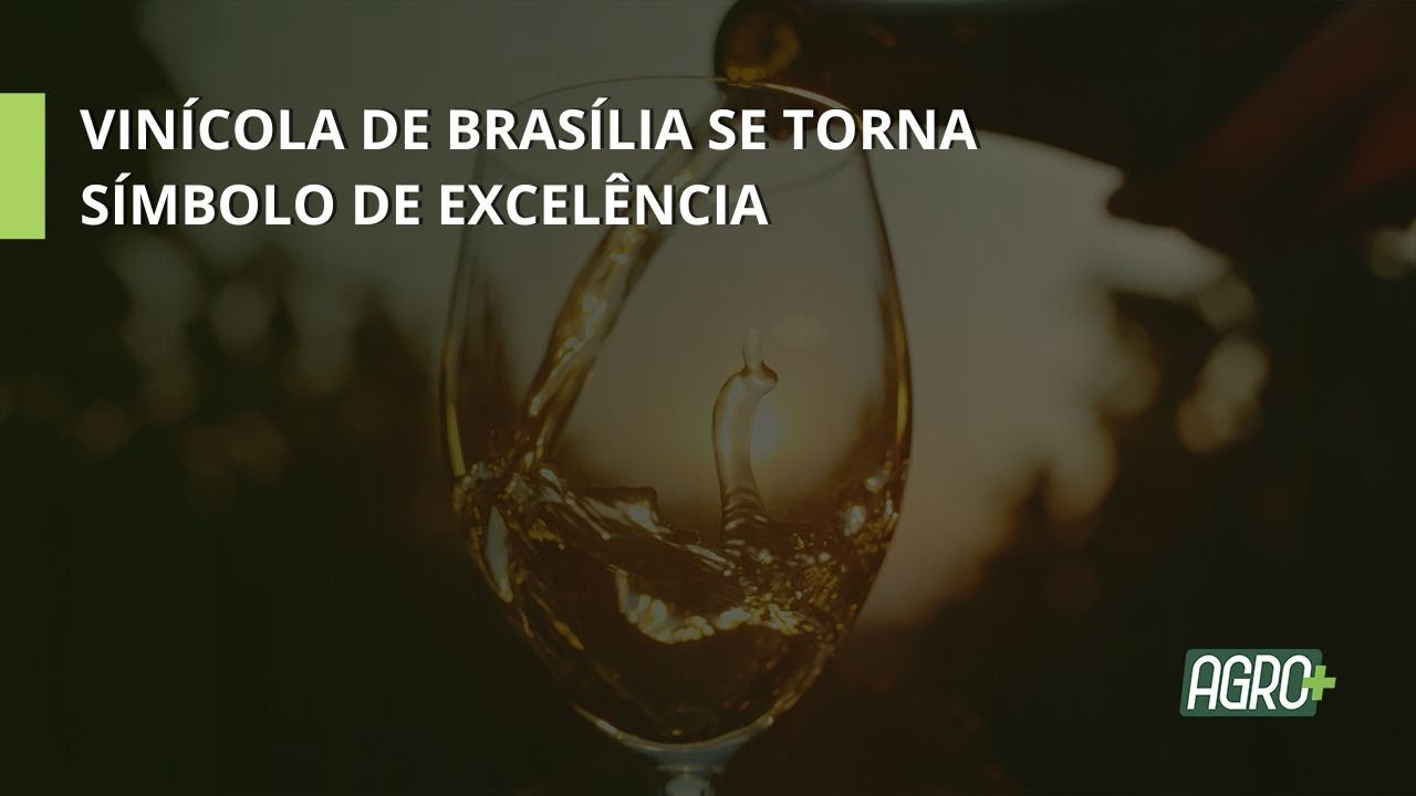 Produção de Vinho no Distrito Federal.