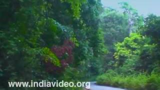 On the way to Kudajadri, Karnataka