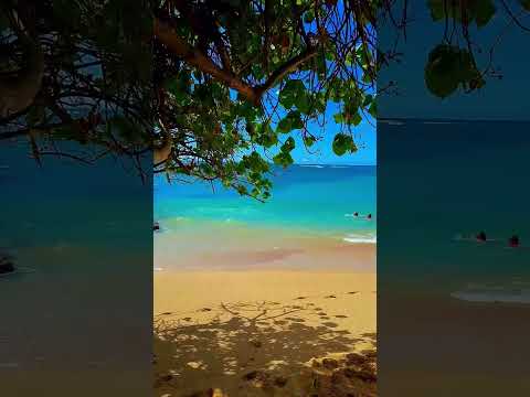 Relaxing Hawaii Beach in 8K – Ocean Waves & Nature Sounds #Hawaii #8KVideo #OceanWaves