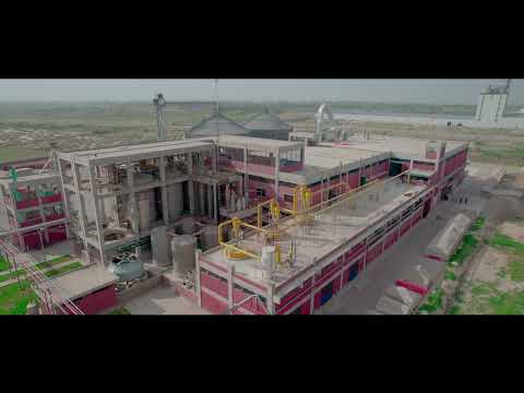 MATCO CORN DOCUMENTART