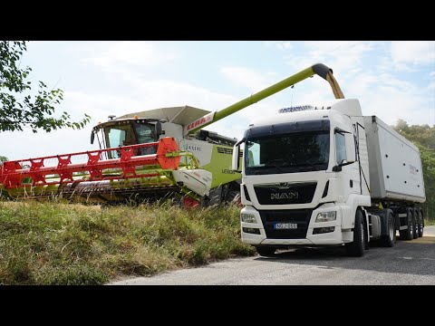 Harvesting and transporting grain in difficult times | 2022