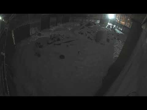 Lions - Riga Zoo thumbnail