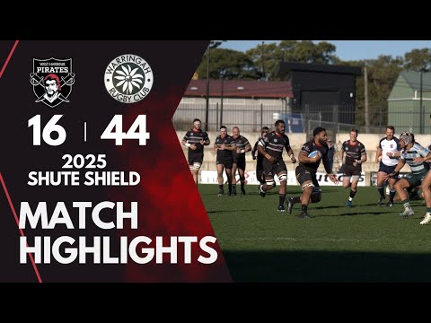 West Harbour Pirates 1st Grade Team Highlights Shute Shield Round 15 2025