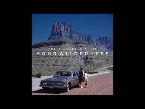 The Pineapple Thief - Fend For Yourself