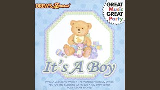 Shoo Fly Don't Bother Me