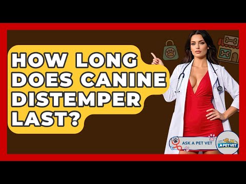 How Long Does Canine Distemper Last? - Ask A Pet Vet