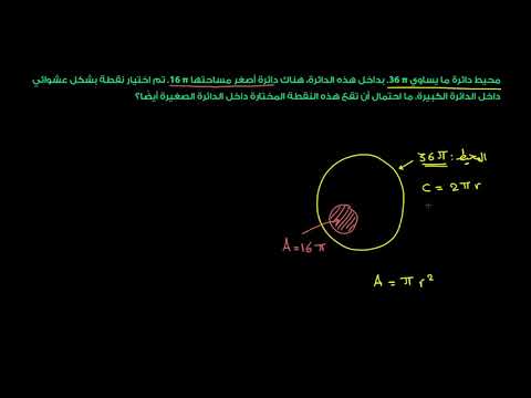 الصف السابع الرياضيات الإحصاء والاحتمالات تمارين على الاحتمالات