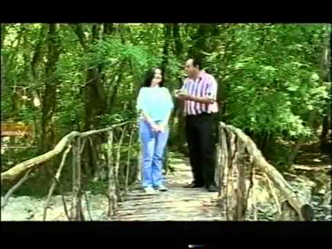 Manaf Ağayev — Mələkdi Bu | Klip