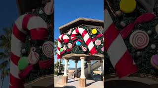 #lapaz at Christmas #carnival #carnivalcruise #carnivalpanorama