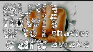 Rise Against - Broken Mirrors - Lyrics Video