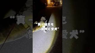 真っ暗でも気付くフレブル