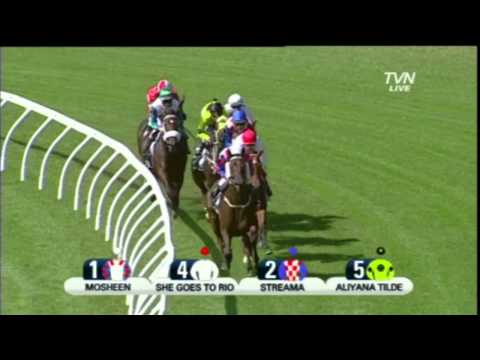 2012 Vinery / Storm Queen Stakes- Mosheen