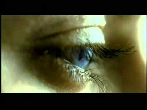 ALAIN AFFLELOU Ephémère le papillon