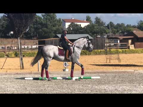 Kur - Nicole e Evimar 2018