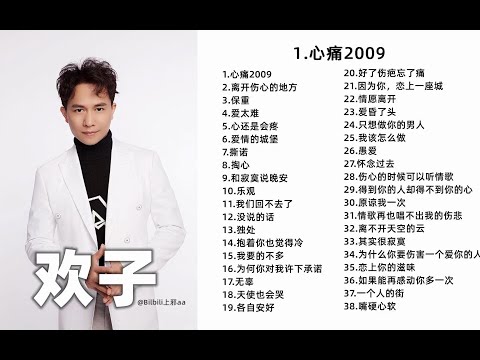 【欢子】欢子38首经典好听的歌曲合集 还记得那个网络歌曲时代吗？ 【Hi Res无损音质】