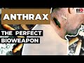 Anthrax: Nature’s Perfect Bioweapon