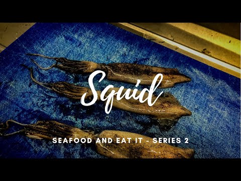 Squid Ep5 - How to Prepare - Seafood & Eat It Series 2 - Bristol Fish HGC
